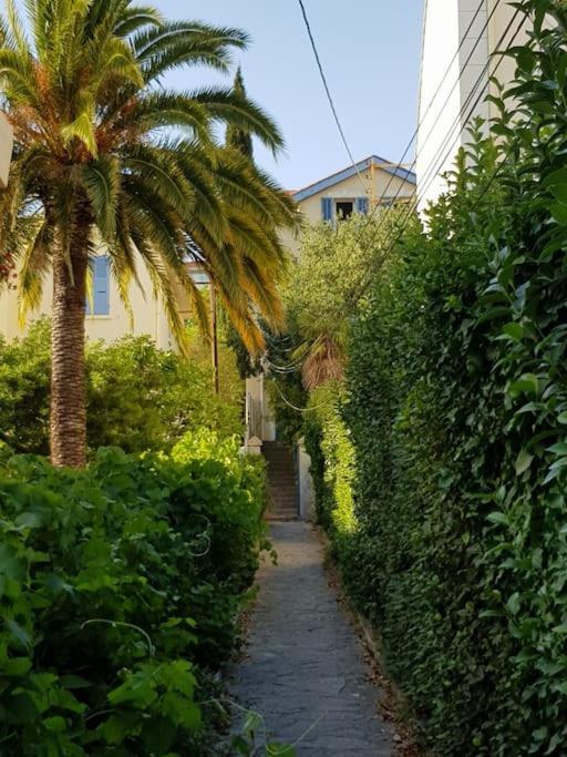 Appartement Pres Des Plages Du Mourillon Tolone Esterno foto