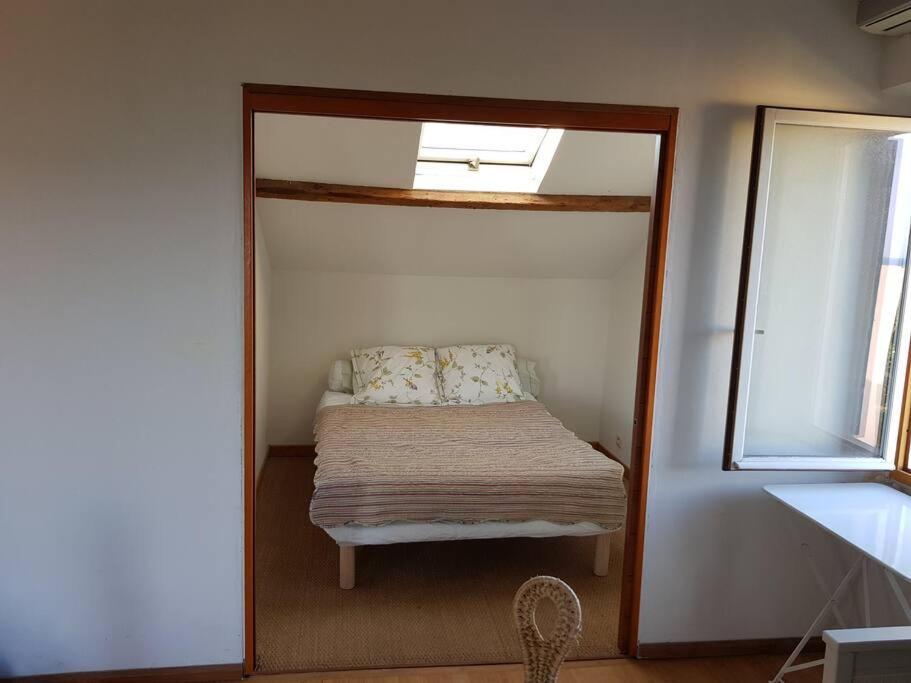 Appartement Pres Des Plages Du Mourillon Tolone Esterno foto